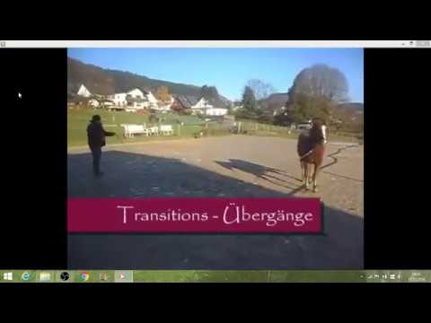 Die sieben Spiele nach Parelli auf Deutsch erklärt - auf Level 1 Niveau - 12oaksTV