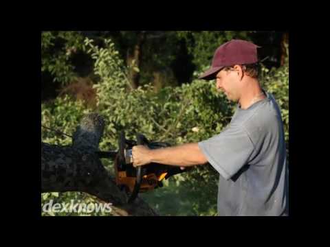 Aspen Heights Tree Service Inc Hardwick Nj 07825 Aspen Heights Tree Service Inc Hardwick Nj 07825