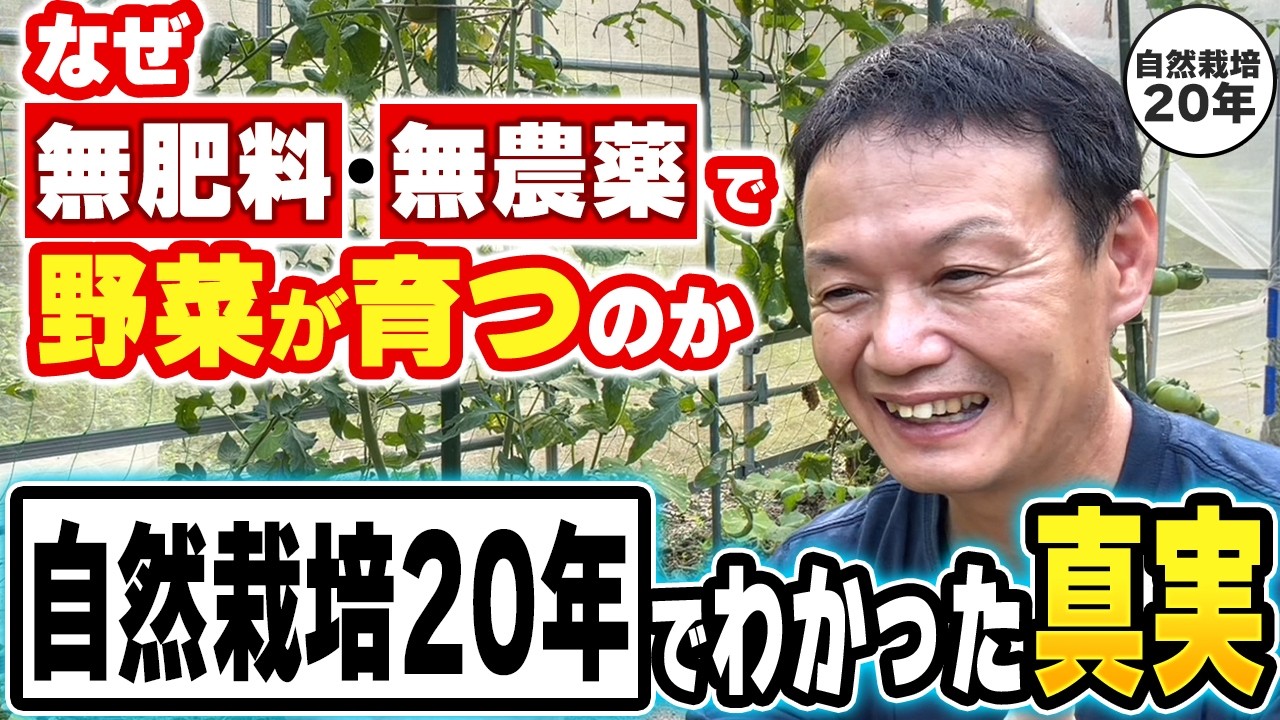 なぜ無肥料・無農薬で野菜が育つのか?自然栽培20年の実践者が語る土の力