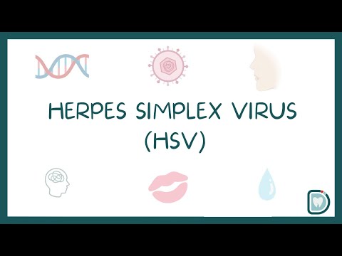 Herpes Simplex Virus (HSV): Treatment and Impact on Oral and Genital Regions