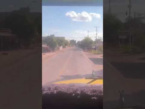 Cruse de bosconia César