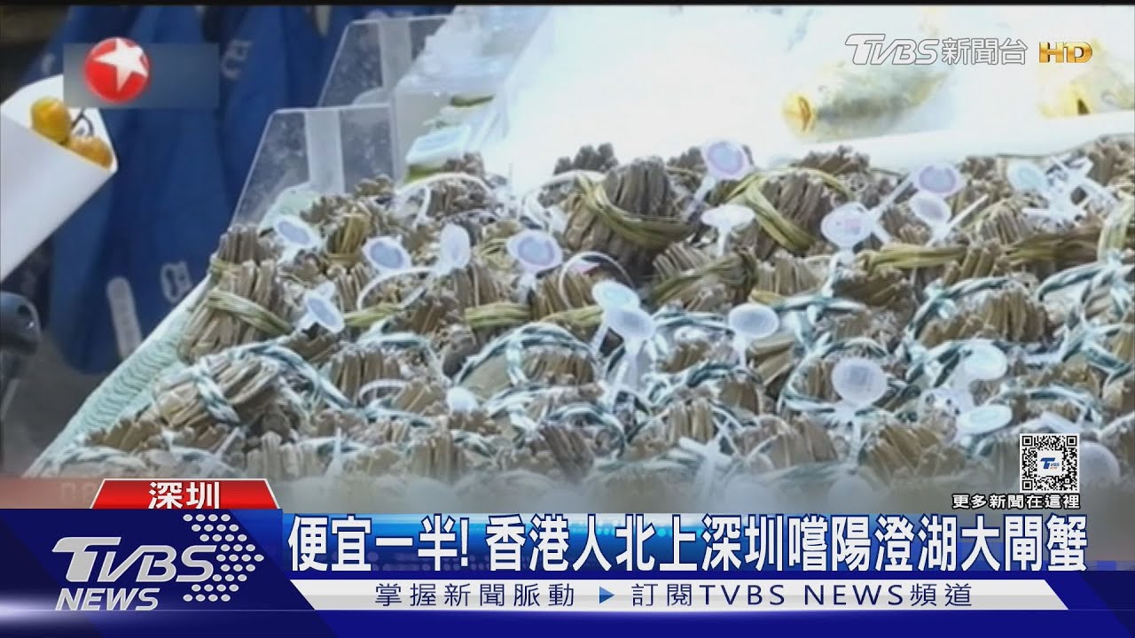 港人北上深圳嚐陽澄湖大閘蟹 大閘蟹有「針眼」解密