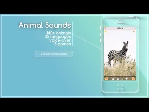 Animal Sounds Video