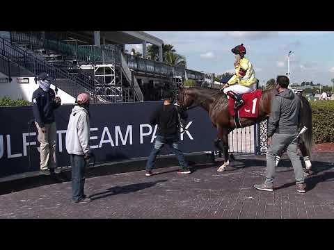 Gulfstream Park Replay Show | January 10, 2021