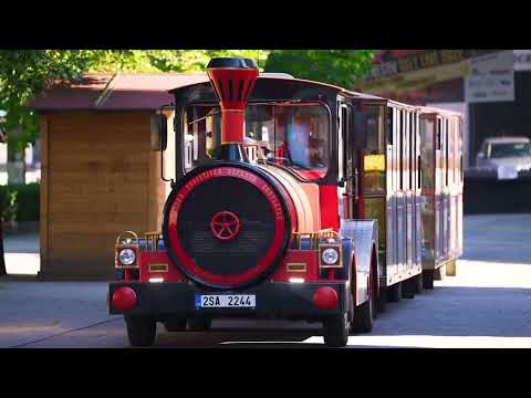 Náhled pro video reference