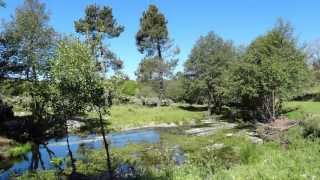 preview picture of video 'Romagem de saudade às terras do Vale da Maria e da Fonte Moira (Vale de Espinho)'
