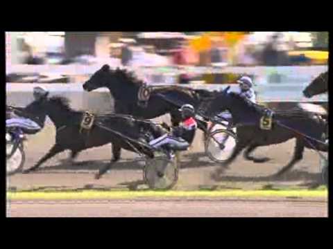 Ulf Thoresens Minnelop 2010 -Raja Mirchi