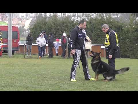 Svod NO 2017 - Ir z Petrova