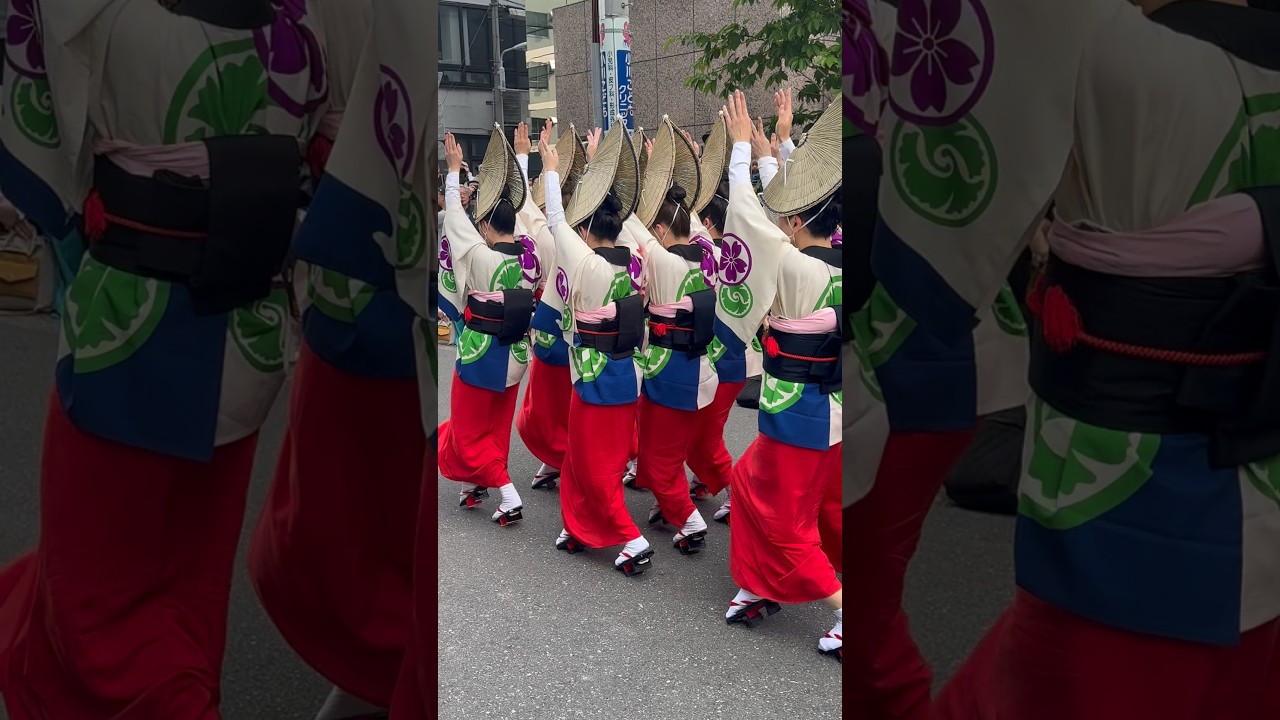 浅草橋 #阿波踊り #阿波おどり 江戸っ子連 団子 #祭り #beautifulmusic #阿波舞 아와오도리