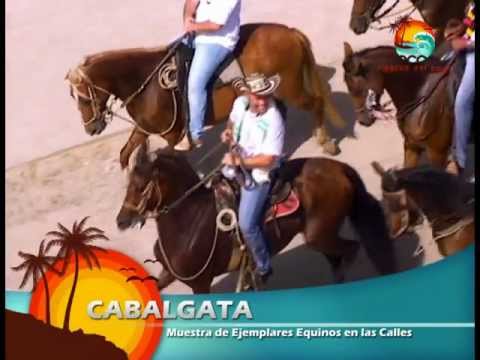 FIESTAS DEL COCO NECOCLÍ 2013