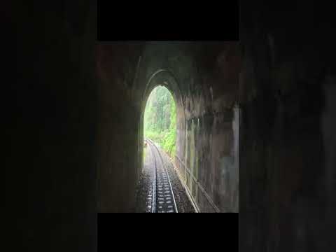 RAILWAY TUNNEL AWESOME VIEW | #SHORTS | #RAILDELIGHT