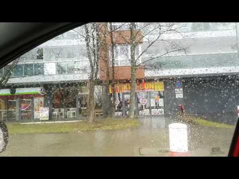 Kim son na Postępu 10  Chińczyk warszawski cz 10