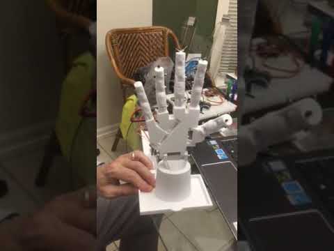 Ezang's Beginning 3D Printed Hand, Some Moves -  Voice Commands