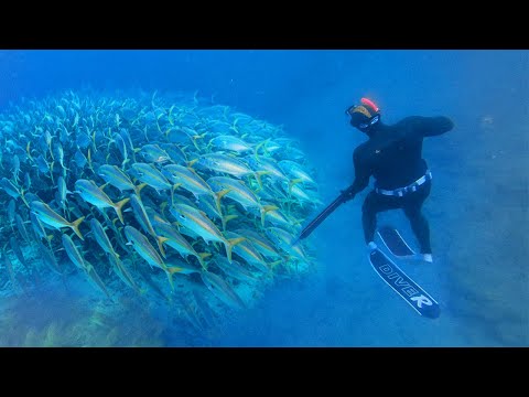 The LEDGE Of LIFE! ! Spearfishing REMOTE AUSTRALIA Islands | VENOMOUS Sea Snakes and Whales ￼!