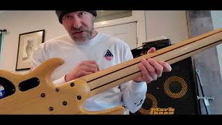 Video thumbnail for ESP LTD B-206SM 6 String Bass Review by Andy Arnette