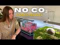 How I Got Red Plants In 6 Days No CO2