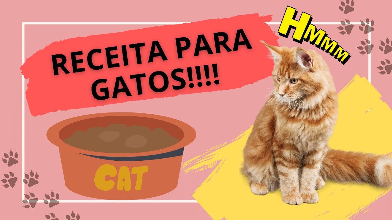 SACHÊ CASEIRO PARA GATO!!!! RÁPIDO, FÁCIL, BARATO E MUITO SAUDÁVEL!!!!