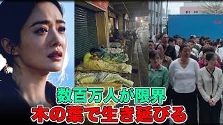【中国2026年】限界崩壊…命がけの金儲け終了、生存モードへ突入！