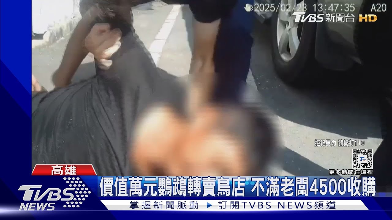 交易時沒意見!男嫌鸚鵡收購價太低 持棍打2女