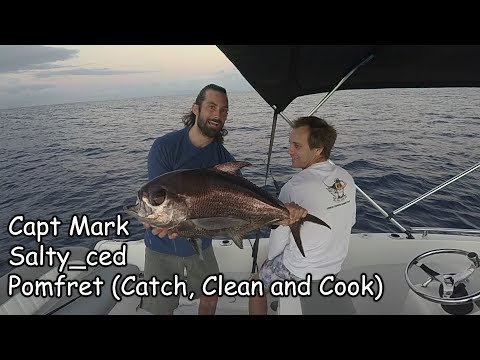 Pomfret (Catch, Clean and Cook)