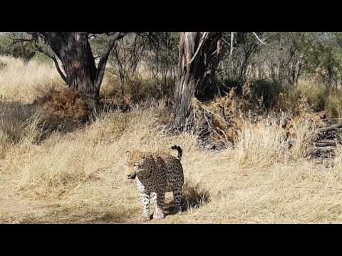 Worldtrip Part 1 Namibia, Botswana, Simbabwe