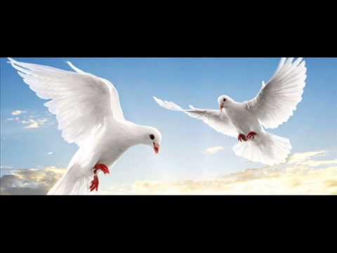 West Side Family - Mbi Gjithcka (Nese Mundesh)