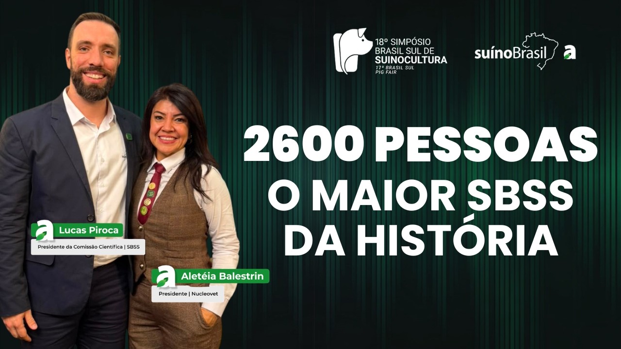 O maior SBSS da história: o que isso diz sobre a suinocultura brasileira?