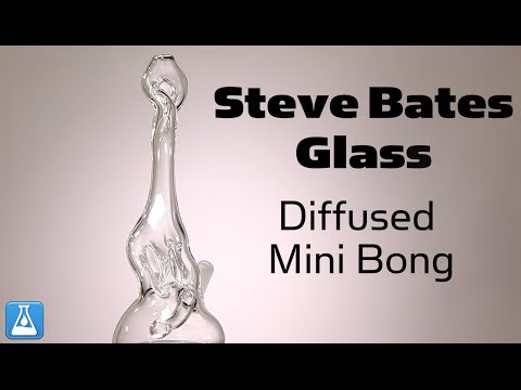Steve Bates Glass Diffused Mini Bong