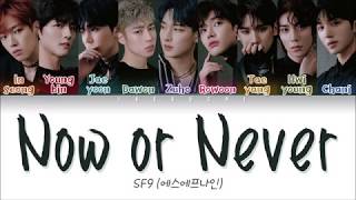 SF9 - NOW OR NEVER (질렀어) LYRICS (Color Coded Eng/Rom/Han/가사)