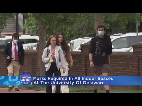 Digital Brief: May 24, 2022 (PM)