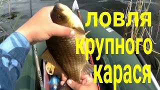 Рыбалка на озере лебяжье курганской области