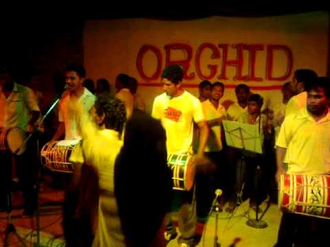 Dharifulhu by Cena-Orchid Boduberu