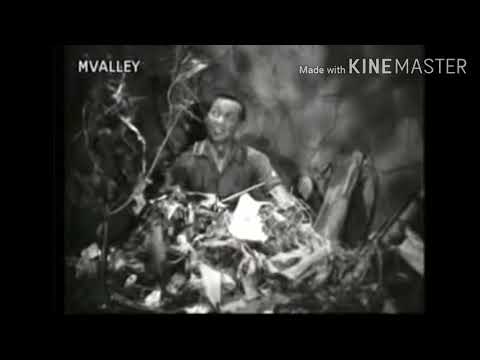 Itu Semua Adalah Cobaan||Pendekar Bujang Lapok