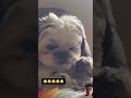 Fail Fart