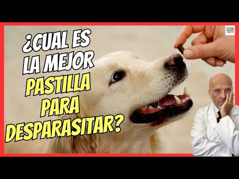 💝 WHAT IS THE BEST PILL TO WORM DOGS INSIDE? 💝