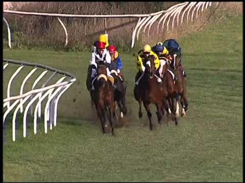 Galoppo 11/01/2015 - 3° corsa