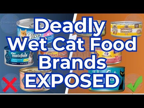 10 Wet Cat Food Brands To AVOID At All COSTS! (And A Few That Are Safe!)