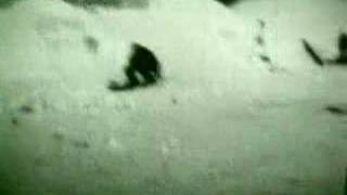 PETER FRAMPTON - Breaking All The Rules