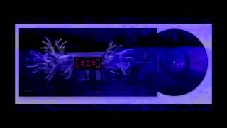 Skinny Puppy - HanDover - Point 2011 HD