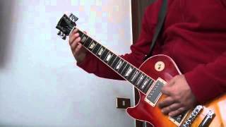 Pedigree butchery (CARCASS cover)