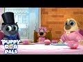 Tea Pup Party Puppy Dog Pals Disney Junior