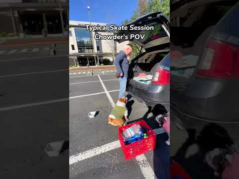 Skateboarding Bulldog | Chowder's Skate POV