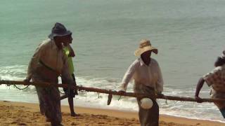 preview picture of video 'Pulling in the catch- Fishing in Sri Lanka'