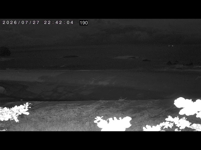 船帆石海灣 cctv 監視器 即時交通資訊