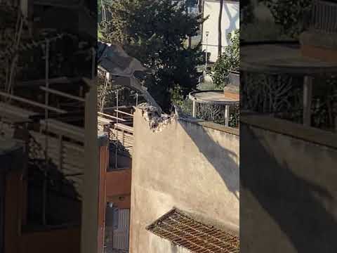 Labaro: iniziati i lavori di demolizione dell’ex cinema Harlem