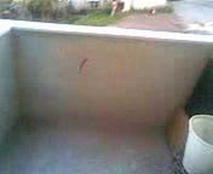 gelecekteki  yuvamiz