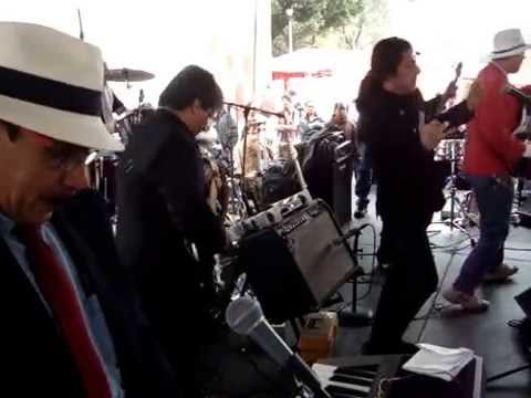 BROWN SUGAR -BLUES BAND