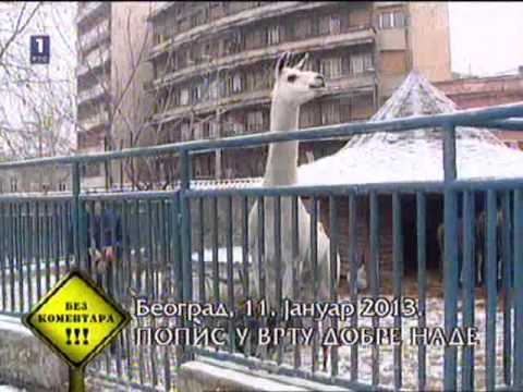 Bez komentara 11 01 2013 RTS 1