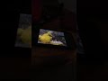 Sesame Street Episode 1903 Ending