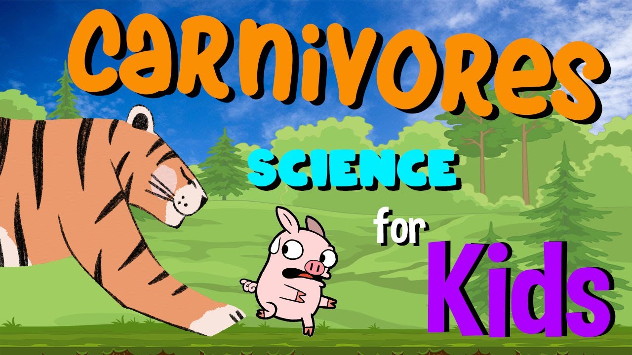 Carnivores | Science for Kids